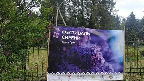 Множество развлечений для всех