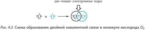 Молекулы: стабильность исходящая от механизма образования