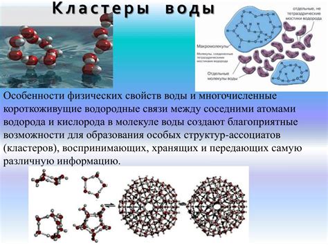 Молекулярный состав и структура капли