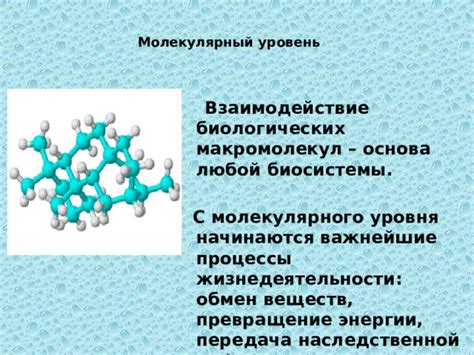 Молекулярный уровень