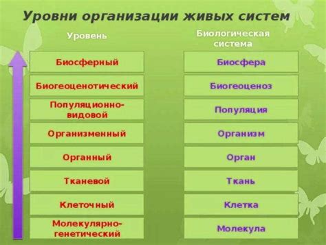 Молекулярный уровень открытых биосистем