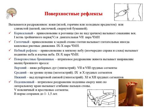 Молоток в руках доктора: неврологические рефлексы в медицине