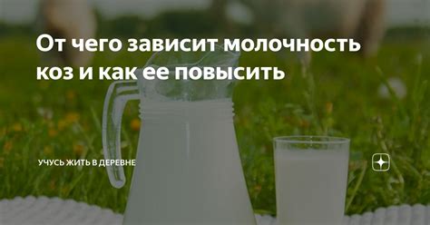 Молочность и способности