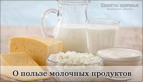 Молочные продукты для поддержания уровня кальция