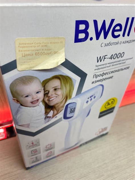 Монтаж и подключение B Well WF 4000