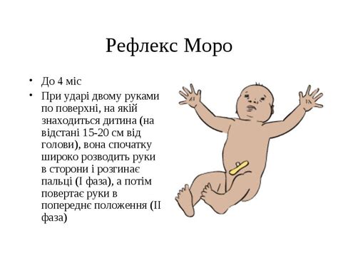 Моро-рефлекс и активное поисковое поведение