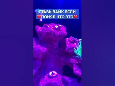 Морская бриза и ее снотворное действие