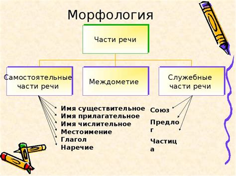 Морфологические особенности