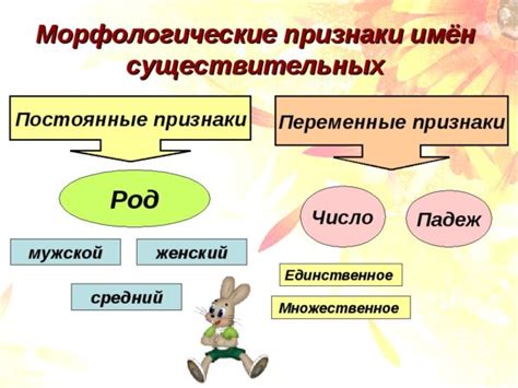 Морфологические признаки разносклоняемых существительных