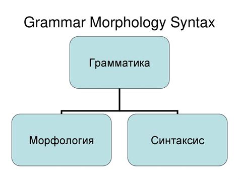 Морфология и грамматика