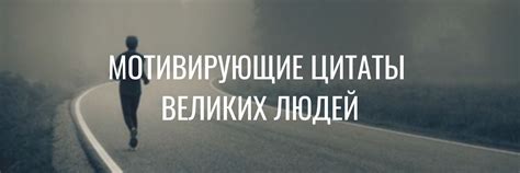 Мотивация и поддержка на пути к активному выгулу