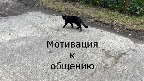 Мотивация к общению: