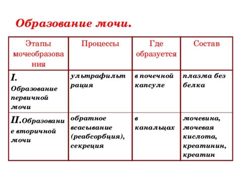 Мочеобразование и заполнение