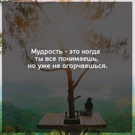 Мудрость в загадках: главное о содержании и смысле