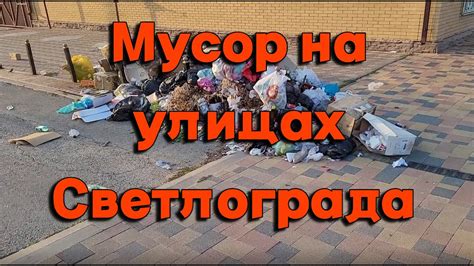 Мусор на улицах привлекает вредителей и грызунов