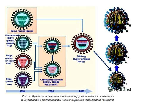 Мутации вирусов и их последствия