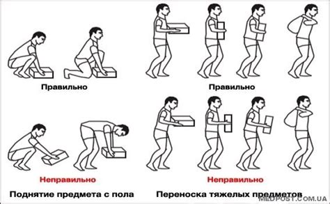 Мышцы и подъемы тяжестей