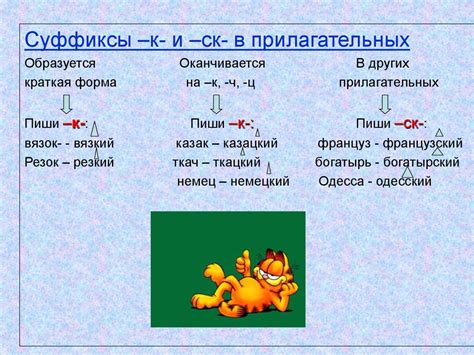 Мягкий знак в окончании прилагательных и существительных