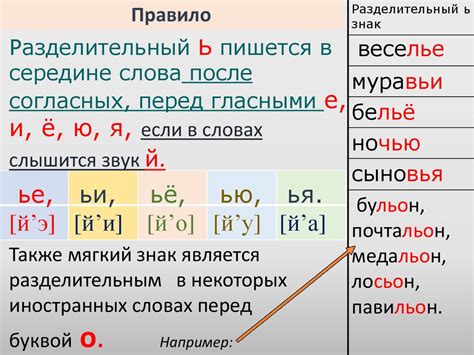 Мягкий знак в русском языке: основные правила