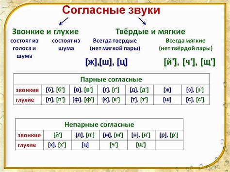 Мягкий знак и согласные: порядок или случайность?