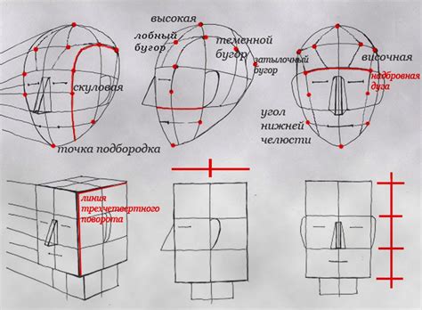 Наброски головы и тела