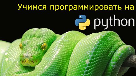 Навигация по интерфейсу и основные функции Python Idle