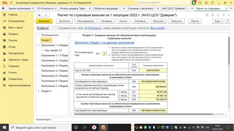 Надежные инструкции для проверки взносов в ПФР