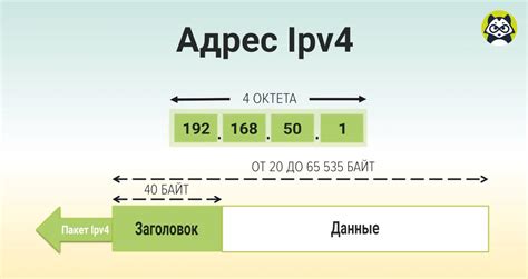 Назначение IP-адреса оазису