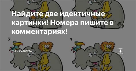 Найдите идентичные материалы