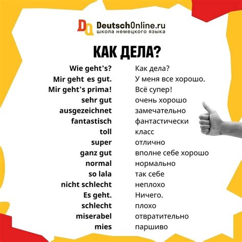 Найдите ответ на вопрос, как зовут хорька Хенджина на русском