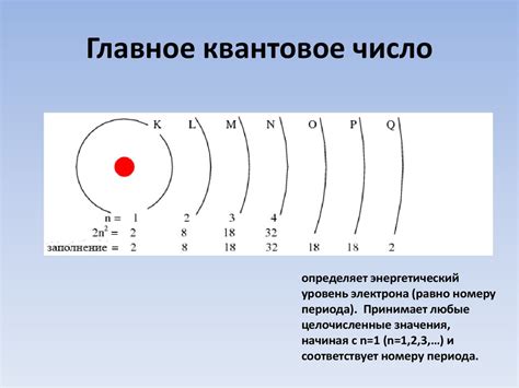 Наличие внешней оболочки