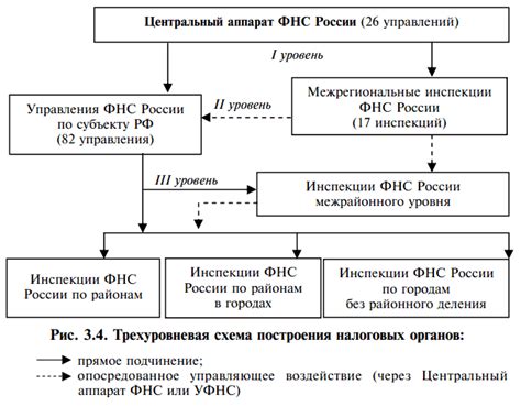 Налоговые органы: информация о налоговых регистрационных данных учредителей