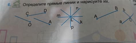 Нанесите общие линии и нарисуйте пропорциональное тело