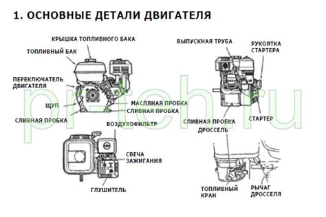 Нанесите основные детали