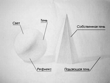 Нанесите тени и светотень для создания эффекта объемности