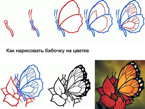 Нарисуйте общий контур каждого персонажа