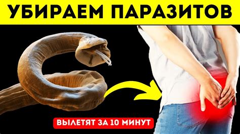 Народные методы лечения глистов