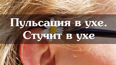 Народные средства в лечении пульсирующего шума в ухе