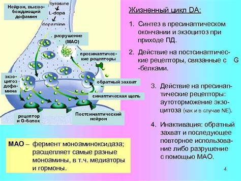 Нарушение баланса серотонина