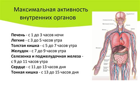 Нарушение биоритмов