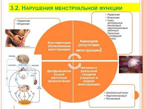 Нарушение гормонального баланса и менструального цикла