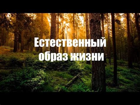 Нарушение естественного процесса