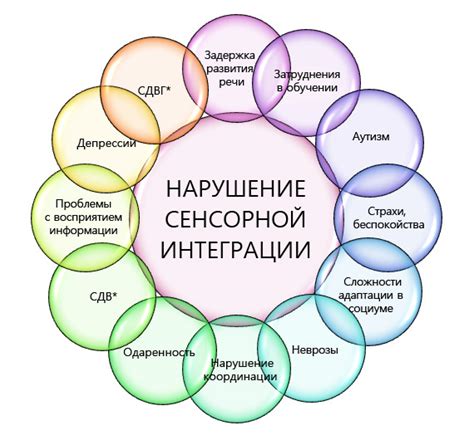 Нарушение моторики и сенсорной интеграции: какие факторы влияют