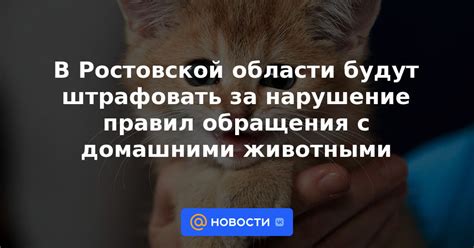 Нарушение отношений с животными