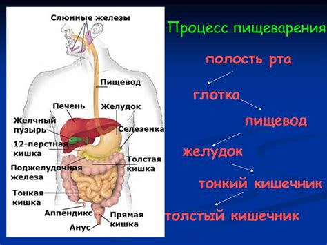 Нарушение прохождения пищи