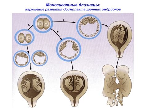 Нарушение развития эмбрионов