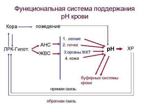 Нарушение pH баланса в носовых каплях