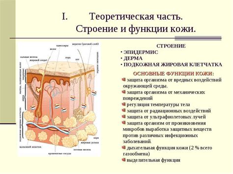 Нарушения барьерной функции кожи