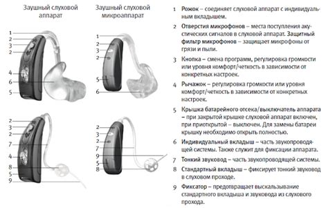 Нарушения в работе ушей и слухового аппарата