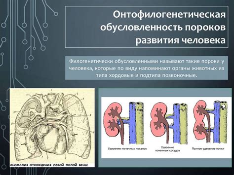 Нарушения дыхательной системы